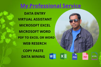do the job data entry, virtual assistant, web research,copy paste, data scraping