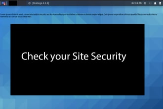 conduct penetration testing for your website