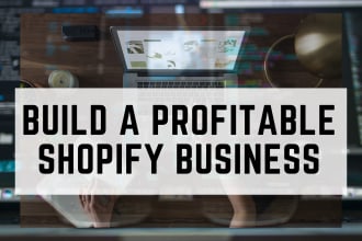 build a profitable shopify store
