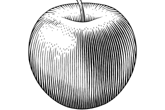 do quality black and white engraving style illustration