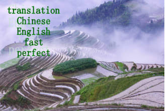 translate 700 words from English into Chinese