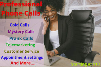 make professional USA and canada phone calls for you