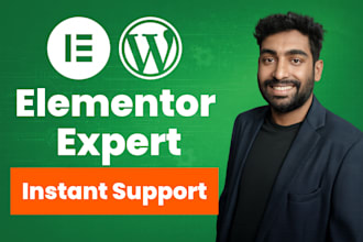 fix elementor issue and do make changes