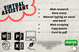 do data collection and data entry, internet research