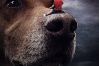 do realistic photo manipulation, photoshop editing and design composition
