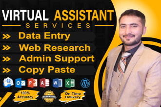 be your virtual assistant for data entry and web research
