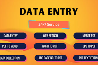 do all kinds of data entry work with quick accurate delivery
