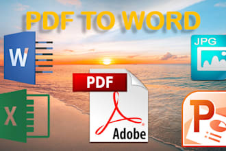 convert PDF to word