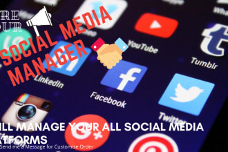 be your social media marketing manager and content creator