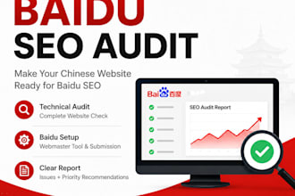 audit and optimize your chinese website for baidu SEO