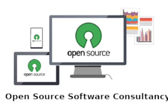 provide software consultancy services
