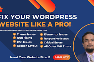fix any wordpress issues, wordpress CSS errors, elementor