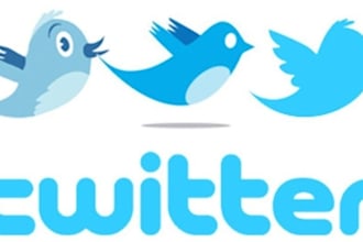 promote to my 390,000 twitter followers sameday