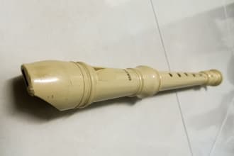 do bad flute or recorder cover on any song you want