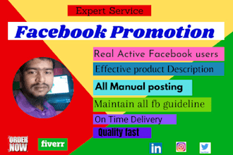 do organic facebook promotion for any business