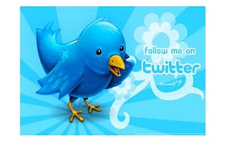 get you super fast high quality 500 target twitter followers in less than 2 day without admin access no password required