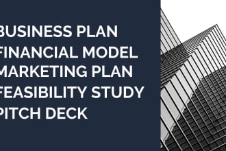 write business plans and feasibility study