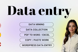 do data entry, excel, manual data typing