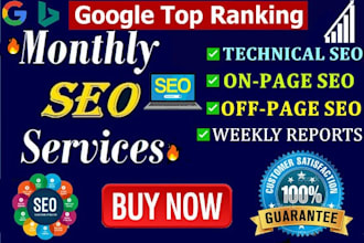 deliver professional monthly SEO service for top google ranking