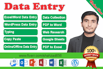 do  accurate data entry, copy paste, web scrap and web research