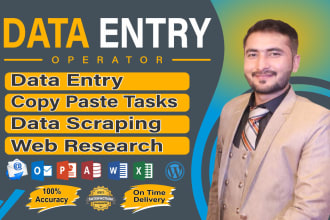 do data entry, copy paste, web research, pdf to excel, and excel data entry