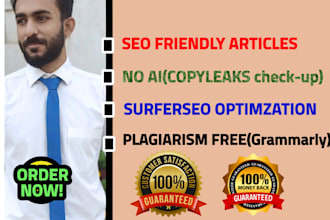 do SEO friendly content writing or article writing for your website