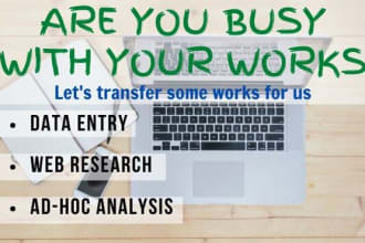 do data entry, excel spreadsheet, data visualization, ad hoc analysis