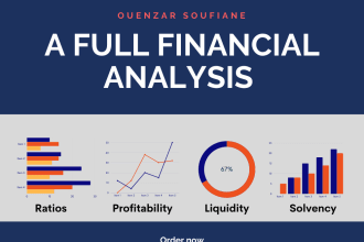 provide financial ratio and financial statement analysis