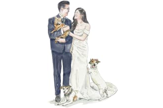 hand paint portraits of you or your pet in traditional watercolor