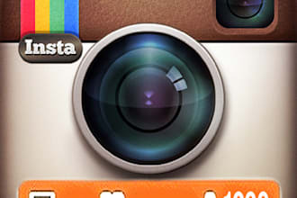 give you 1k real looking Instagram followers without password