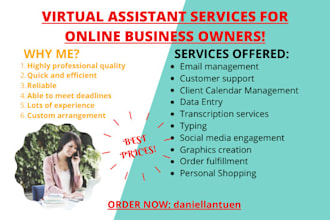 be your personal virtual assistant for your online business