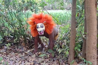 says your message with Lion Man