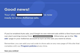 add google adsense code or analytics on your website