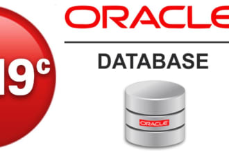 oracle database 9i, 10g, 12c, 18c, 19c support rac,asm,rman,dp