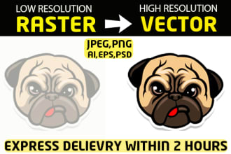 convert raster logo,image to vector,vector tracing and more