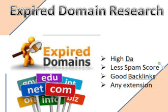 find high authority expired domain name research