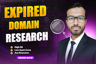 find high authority expired domain name research