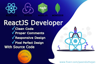 develop reactjs web app, front end web developer