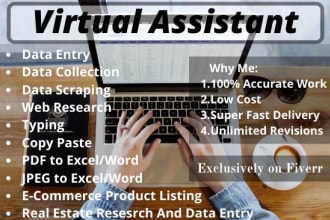 do any kind of data entry lead generation excel work express delivery 24 hours
