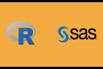 do SAS or r programming projects or assignments