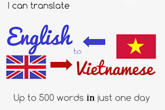translate English to Vietnamese and vice versa