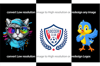 do any type of adobe illustrator work, vector tracing or redraw vector logo