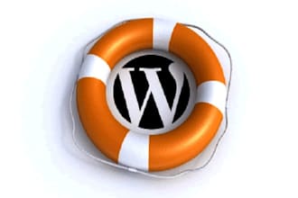 customise, tweak, fix, amend your theme or Wordpress Site Including css and php