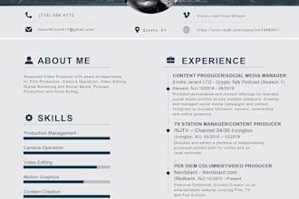 design professional infographic resume in 24 hours