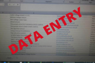 do data entry, copy paste, web research, excel data entry, pdf to excel