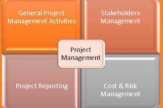 business analyst and project manager