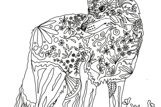 design floral and animal line art