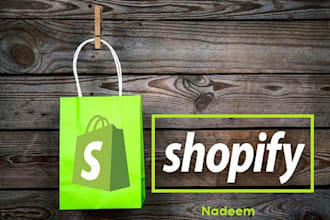 create a single, one product shopify dropshipping store, shopify website