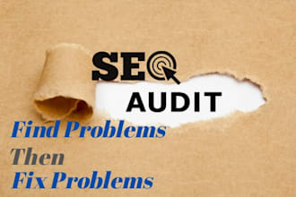 manually SEO audit to your website