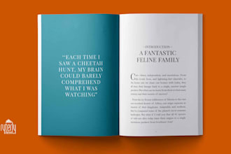 do professional book formatting and ebook design for print and digital